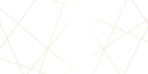 abstract luxury gold geometric random chaotic lines with many squares and triangles shape on white b