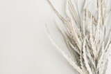 Fototapeta Boho - Dried white leaves bouquet on white background. Minimal floral holiday composition