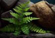 Green leaves of fern on the background of stones. Generative AI technology.	