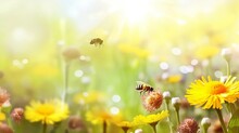Beautiful Colorful Summer Spring Natural Flower Background. Bees Working On A Bright Sunny Day With Beautiful Bokeh