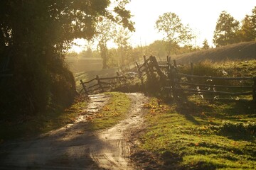 Poster - Dirt road with wooden fence by fields in beautiful evening light