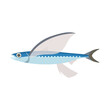 トビウオ。フラットなベクターイラスト。
Flying fish. Flat designed vector illustration.