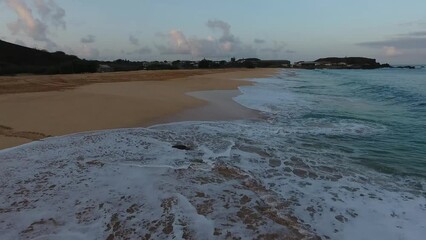 Canvas Print - Turtle returning to the ocean after laying eggs on Ascension island