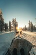 Husky safari activity at Lapland, Finland in winter