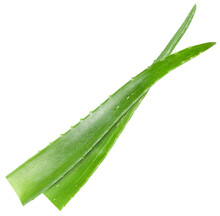 Two Leaves Of Aloe Vera On A White Isolated Background