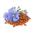 Flax seed and flax flowers closeup on white backgrounds.Ai generated. Illustration