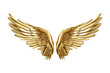 Golden wings isolated on transparent background - Generative AI