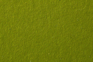 Poster - green fluffy velvet texture background. Green velvet fabric