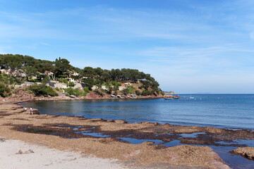 Canvas Print - Fabrégas beach in the French Riviera coast