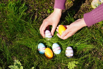 women's hands in a lilac sweater collect colorful Easter eggs in the green grass on the garden plot in spring