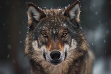 Close Up Of Beautiful Gray Wolf In Winter. 3d AI Generation -Canis Lupus