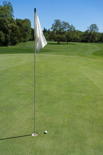 Golf Green With Flag And Tap-in Ball, Palo Alto, California, USA