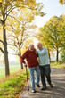 © Designpics - Senior Men Walking on Tree-lined Path in Autumn, Lampertheim, Hesse, Germany