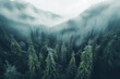 Forest with fog in the trees and mist, smokey background. Generative Ai.