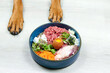 Natural Raw organic dog food in bowl and dogs paws on grey background. BARF Diet for dogs Raw meat, eggs, vegetables.