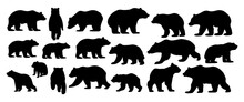 Various Bear Silhouettes On The White Background