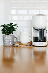 Coffee tree plant on wooden table, view on white kitchen in scandinavian style