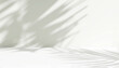 Leinwandbild Motiv Blank minimal white counter podium, soft beautiful dappled sunlight, tropical palm foliage leaf shadow on wall for luxury hygiene organic cosmetic, skincare, beauty treatment product background 3D