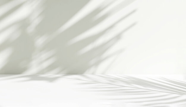 blank minimal white counter podium, soft beautiful dappled sunlight, tropical palm foliage leaf shad