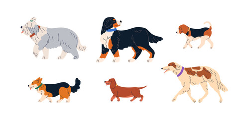 Wall Mural - Cute dogs walking. Canine animals breeds profiles set. Purebred doggies of Bobtail, Sennenhund, Beagle, Corgi, Dachshund and Borzoi pedigree. Flat vector illustrations isolated on white background