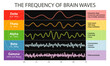 Different kinds of waveforms are produced by brain activity. Demonstration of human brain waves patterns