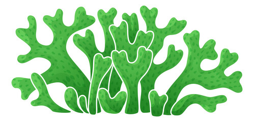 Wall Mural - Green fucus. Marine seaweed flora. Aquarium algae