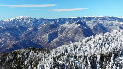 Sticker - Scenic winter landscape on a sunny day, Cozia National Park, Romania