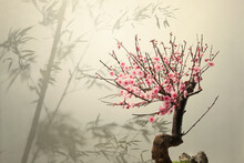 Bamboo And Peach Blossoms