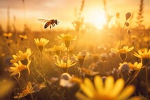 Buzzing for a Brighter Future: A Vibrant, Positive Stock Image Promoting Bee Conservation and the Importance of Their Vital Role in Nature, Safe the Bees