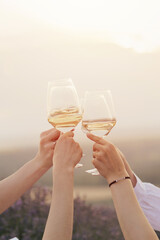 Cropped shot of female friends toasting with glasses of white wine during outdoor party in summer evening in countryside.