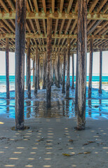 Canvas Print - Vertical shot of the wooden logs in the sea under the pier