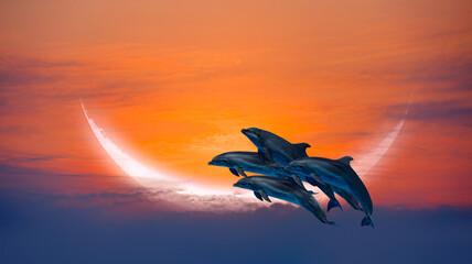 Poster - Silhoutte of beautiful dolphins jumping up from the sea at sunset with crescent moon 