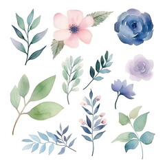 Wall Mural - Watercolor floral illustration bouquet set collection, wedding stationary, flower background