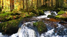 Scenic View Of A Small Waterfall In A Forest
