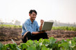 © Katcha - Smart farmer raising arm to celebrate after using laptop to exam