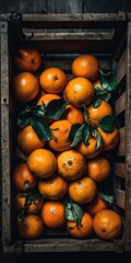 Poster - Top view of oranges in wooden cage