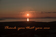 © siwyk - Napis THANK YOU THAT YOU ARE na tle zachodzącego nad morzem słońca