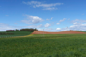 Wall Mural - Rural landscape in Brianza near Usmate and Lomagna