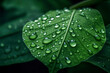 © Melipo-Art - Close-up of raindrops on the surface of a bright green, newly sprouted leaf, the water droplets magnifying the intricate veins and textures of the leaf.