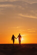 © MyJuly - silhouette of a couple at sunset, woman and man walking along seashore in rays of sunset sunlight. walk and hug. place for text, romantic relationships, freedom and carelessness