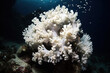 Beautiful elaborated white hermatypic marine corals of various species under the sea. Generative AI