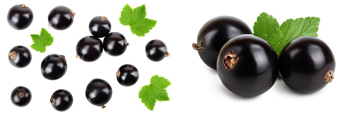 Wall Mural - black currant isolated on white background. Top view. Flat lay pattern