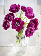 A Bouquet Of Purple Tulips In A Decorative Vase; Surrey, British Columbia, Canada