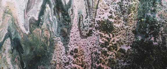 Wall Mural - Eerie fluid art background with dark green and pink tints and black gold stains. Mystic effect of acrylic paints. Liquid ink of bog tones. Toxic surrealistic abstract texture with mixing marsh colors.