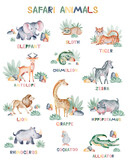 Fototapeta Konie - Poster Safari Animals for children's education. Names of African animals. Watercolor illustration of cartoon animals. For children's books, postcards, stickers, posters.