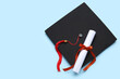 © Pixel-Shot - Diploma with red ribbon and graduation hat on blue background