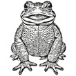 Vector image of silhouette of a frog on a white background, toad