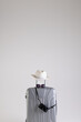 Suitcase with straw hat, sunglasses and camera on white background with copy space