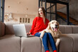 © Богдан Маліцький - girl sits on sofa with dog and uses laptop at home, woman with golden retriever looks at the computer and smiles