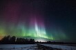© Tebha Workspace - aurora over the night sky in the forest
